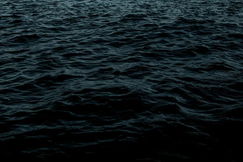 Deep blue open water, swell running across the frame.